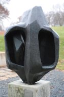 1960 Pod Seed Pod.jpeg